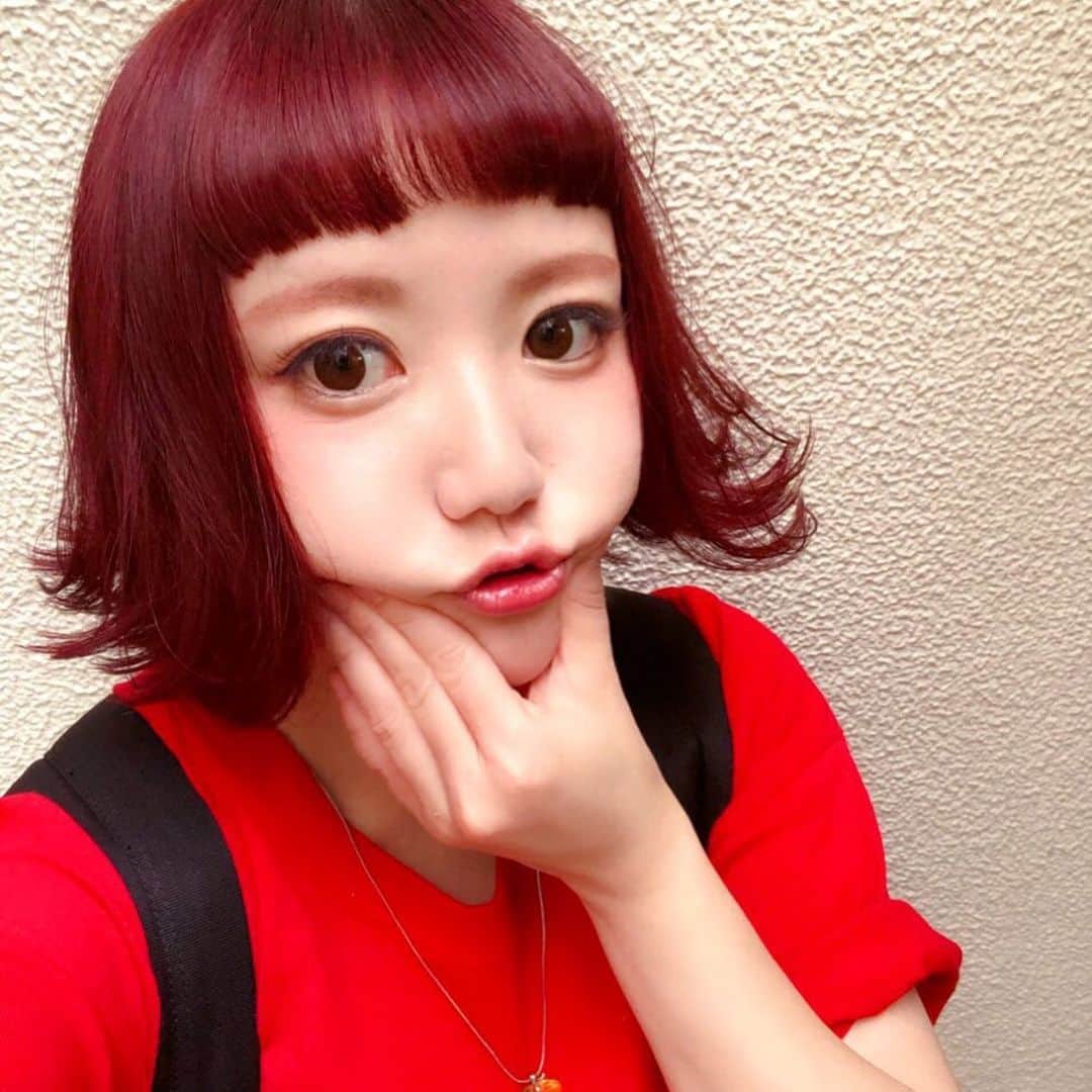 小鳥遊しほのインスタグラム：「やっと髪切れた染めれた大福になれた。できたての大福をどうぞ。 . . 渋谷と原宿の間にあるすてきなサロンです。→ @bloc_japon . . 担当はかっしーです。柏さんです。専門学生時代の一個上の先輩です。喋りやすくて腕がいいので安心して予約してください。 → @kashiwamanhair . . #blocjapon #hairsalon #beauty #hair #haircolor #redhair #大福」