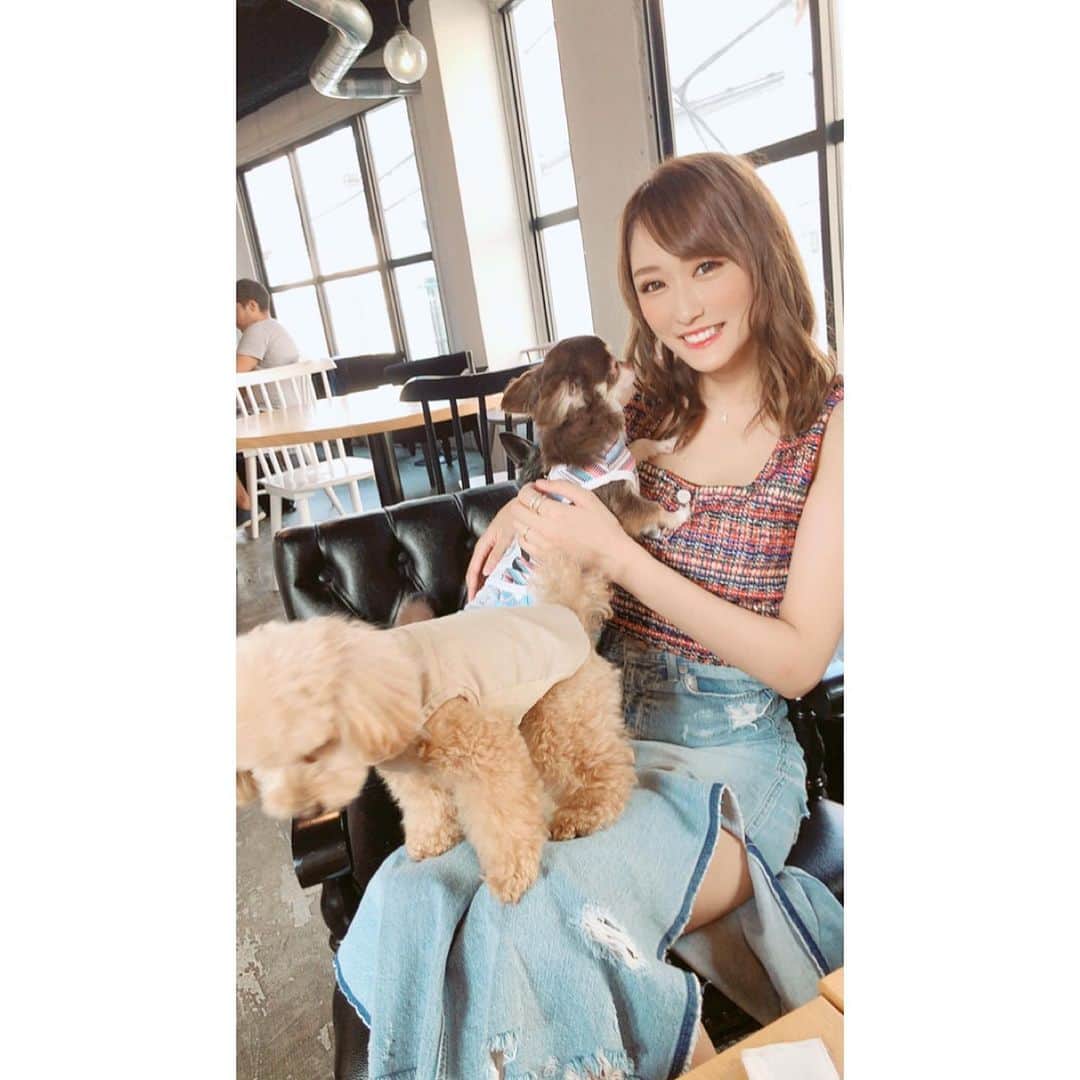 七瀬美月さんのインスタグラム写真 - (七瀬美月Instagram)「aneacafe白金店初♡ . 螺旋階段が恐怖だったけど 店内オシャレで好き✨💓 .  犬さん達ササミ食べてからは 暇そうにしてたw🐶💤 .まったり主婦会💓 たくさん話せてゆっくり出来た☺️☕︎🌱 .  #オシャレなカフェ#白金#ランチ#肉 #dogcafe #dog#cafe#チワワ#ドッグカフェ #主婦会#お茶会#夏#夏バテ#タイニープードル #aneacafe #aneacafe白金#チワワ#code」8月1日 20時24分 - yskwask1114