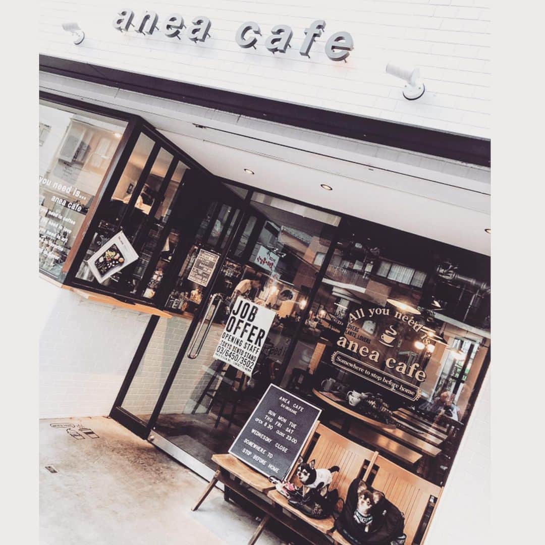七瀬美月さんのインスタグラム写真 - (七瀬美月Instagram)「aneacafe白金店初♡ . 螺旋階段が恐怖だったけど 店内オシャレで好き✨💓 .  犬さん達ササミ食べてからは 暇そうにしてたw🐶💤 .まったり主婦会💓 たくさん話せてゆっくり出来た☺️☕︎🌱 .  #オシャレなカフェ#白金#ランチ#肉 #dogcafe #dog#cafe#チワワ#ドッグカフェ #主婦会#お茶会#夏#夏バテ#タイニープードル #aneacafe #aneacafe白金#チワワ#code」8月1日 20時24分 - yskwask1114