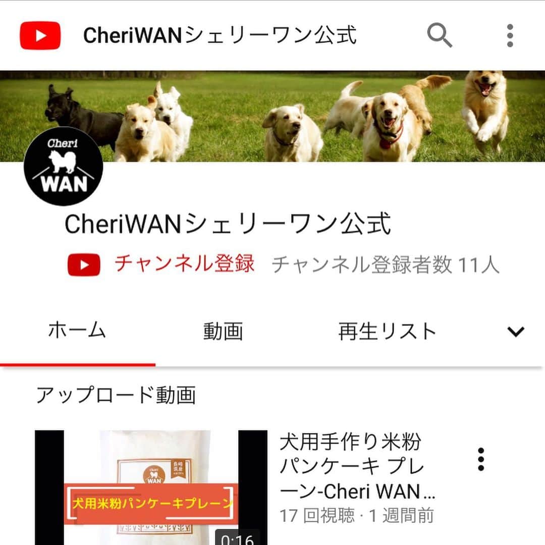 CheriWANさんのインスタグラム写真 - (CheriWANInstagram)「﻿ 【Cheri WAN 公式YouTubeチャンネル】﻿ ﻿ こんばんは🍓✨﻿ ﻿ Cheri WAN 公式YouTubeチャンネル の﻿ 公開を開始しました😲❗️⭐️﻿ ﻿ ↑の動画のような商品をより分かりやすく﻿ ご紹介した動画を沢山アップしています🥞❣️ ﻿ ﻿ お得な情報もアップされるかも。。❓🐶﻿ ﻿ YouTubeで【Cheri WAN 公式】と検索🔍﻿ スライドして2枚目がチャンネルトップになります🎊﻿ ﻿ 是非チャンネル登録でチェックしてみてください💫﻿ ﻿ #CheriWAN #シェリーワン #犬 #ふわもこ部 #愛犬 #わんこ#ペット #いぬすたぐらむ #ワンコ#無添加 #無着色 #無香料 #米粉パンケーキミックス #グルテンフリー #米粉 #ドッグフード #いぬ#いぬのおやつ #ワンちゃん用 #いちご #なし #スイカ#ドライフルーツ #love﻿ ﻿ 完成したパンケーキは﻿ 下記ハッシュタグでシェア🥞❤️↓﻿ #ワンコ米粉パンケーキ﻿」8月1日 20時22分 - cheriwan_official