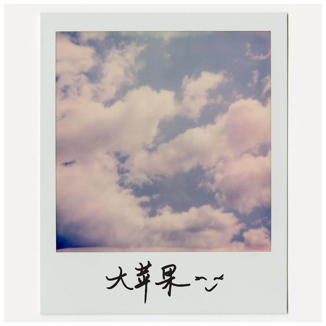 コーチさんのインスタグラム写真 - (コーチInstagram)「The sky’s not even her limit. Big dreams in the Big Apple for #LiuWen, who captured this #Polaroid while on location for our Fall 2019 campaign. #CoachNY」8月1日 21時06分 - coach