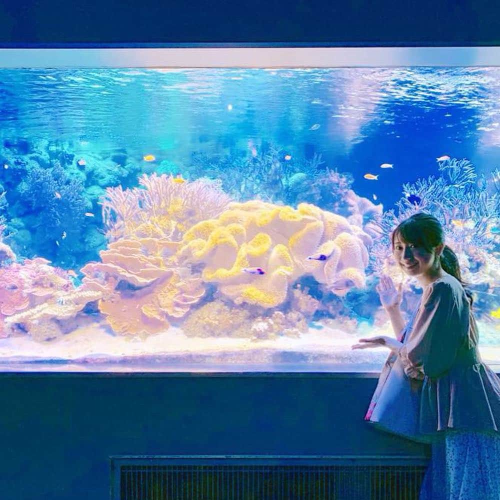 夏目樹里さんのインスタグラム写真 - (夏目樹里Instagram)「今日は #鳥羽水族館 でのロケでした〜❣️(°∀°ﾐэ)Э . 🆕📺明日8/2(金)17:40~19:15放送 三重テレビ「Mieライブ」 おでかけライブ特別編にてオンエアです🥰  夜の鳥羽水族館の楽しみ方✨ぜひチェックしてね〜🤩✌️ . . #三重テレビ #Mieライブ #ナイトアクアリウム #限定スペシャルナイト #夜の水族館」8月1日 21時52分 - juri_azure