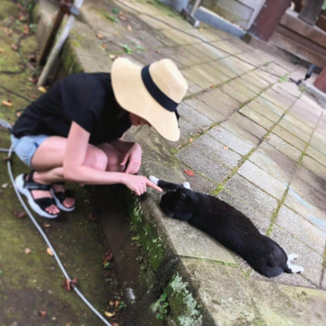 工藤采佳さんのインスタグラム写真 - (工藤采佳Instagram)「江ノ島神社⛩と街の風景⛰ 海外旅行に行った気分を味わえる景色に テンションが上がりまくりでした📸💕 暑さで猫ちゃんがへばってた🐱癒 綺麗な海を一望できる展望台も良きでした✨ . . . . . . . . . . . . . #江ノ島#江ノ島神社#神社#海#山#風景#景色#綺麗 #初#プチ旅行#藤沢#鎌倉#旅#旅行#観光#かわいい#猫#旅好きな人と繋がりたい#女子旅#休日#おすすめ#view#photo#japan#enoshima#trip#nice#spot#hot#recomended」8月2日 8時06分 - kudo__ayaka