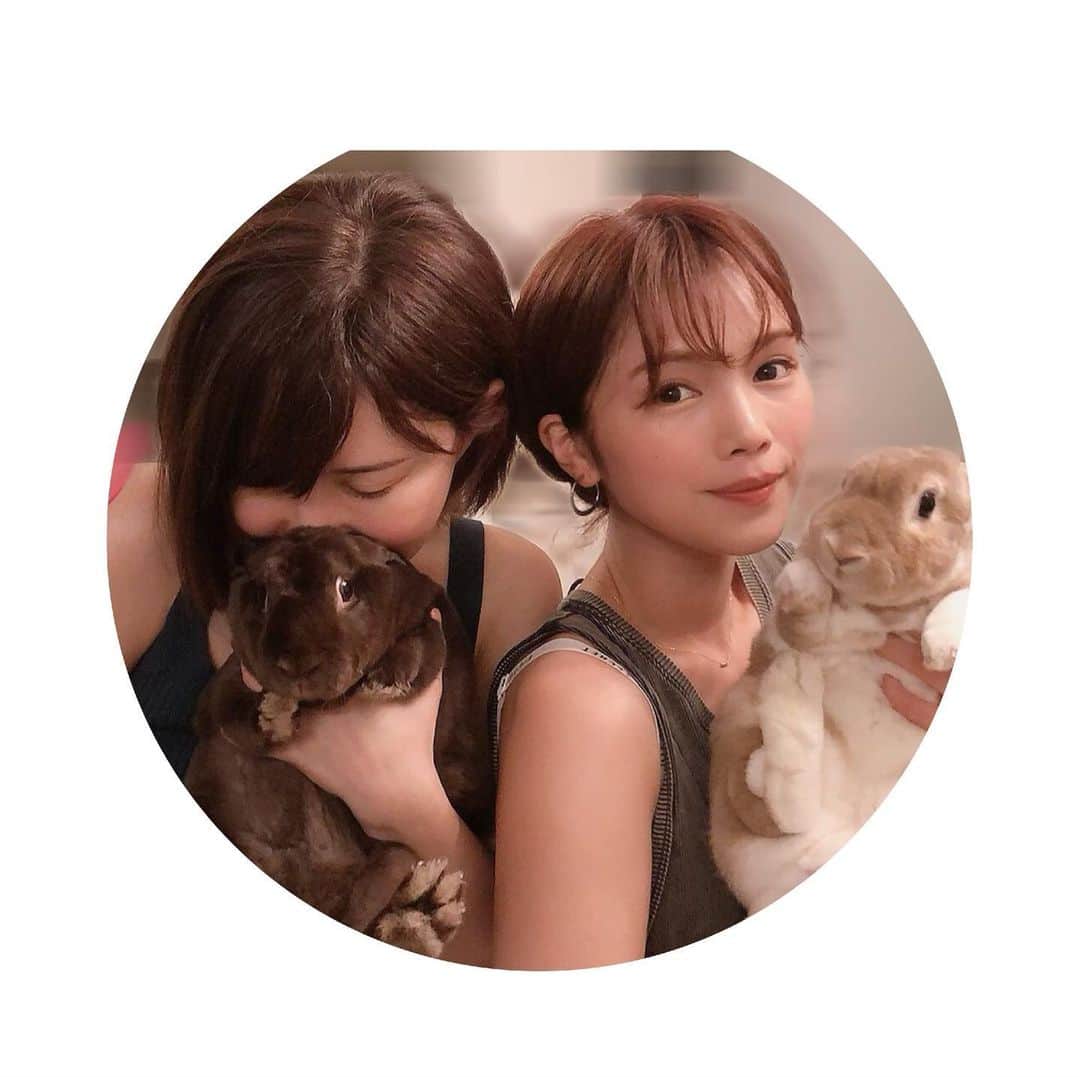 里美ゆりあのインスタグラム：「( *˘ ³˘)♡♡♡ @kuriyamamuiと @rionsawabe と♡♡ #家族#family#ファミリー#ホムパ#rabbit#うさぎ#minirex#ミニレッキス#ネザーランドドワーフ#抱っこ#pretty#cute」