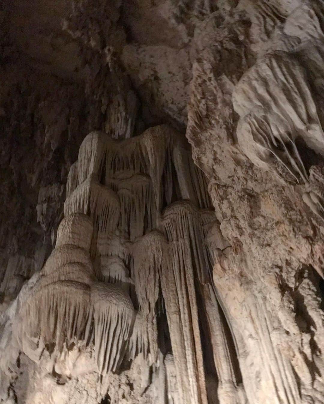 倉岡晋也さんのインスタグラム写真 - (倉岡晋也Instagram)「Experience ✔︎ It was incredible 6000年前に人が住んでいたとか… 素直に自然って凄いなと感じた タイの北西部パーイから 原付で山を越え二時間、ミャンマー国境近くにある ロッド洞窟に… 行くと村のガイドさんが待機していて、 1人500円くらいかな、入場料払って いざ探検開始、村のガイドさんが灯篭使って案内してくれる 真っ暗な中、登ったり下ったり滑っちゃったり 前兆1.7キロの巨大な洞窟には、ニシキヘビやコウモリにフナ…あとタランチュラもいたw いろんな動物がいて、途中竹のカヌーに乗ったり。。。 最後、陽のある所に帰ってきた時は あー、人間ってなんだろぉな なんて…深い事まで考えてしまったよね #lodcave #倉岡旅の記録」8月2日 0時39分 - shinyakuraoka