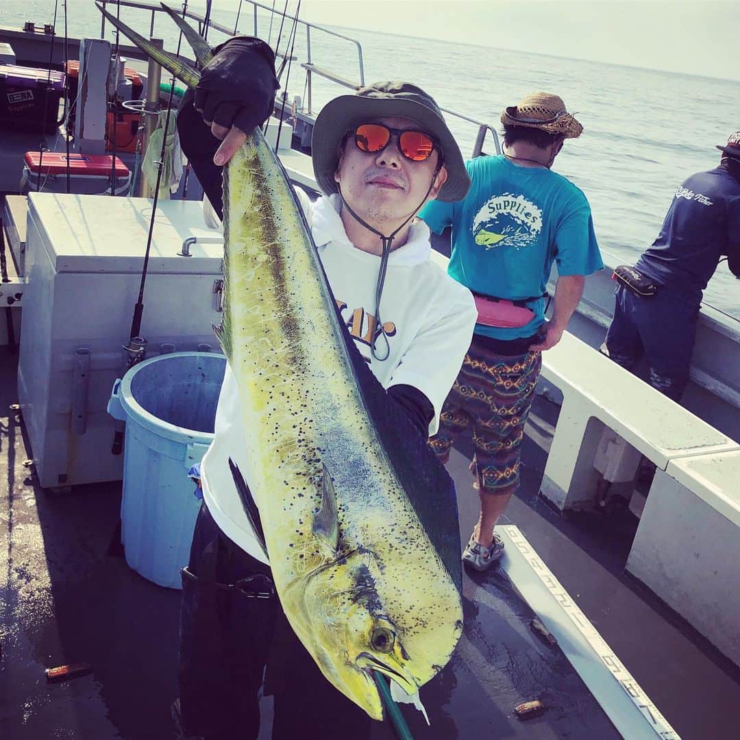 田中秀幸のインスタグラム：「シイラ ＃シイラ#fishing #釣り#相模湾」