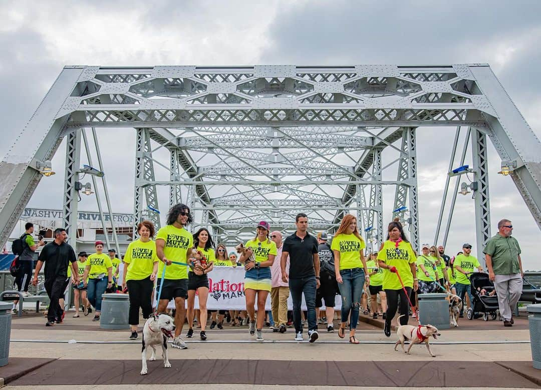 ミランダ・ランバートさんのインスタグラム写真 - (ミランダ・ランバートInstagram)「Throwback to how great the @muttnation march was this year. And a big thank you to our friends @dogisgood for designing the t-shirts we love so much! #LoveTheMuttYoureWith #throwbackthursday #MuttNation」8月2日 1時08分 - mirandalambert