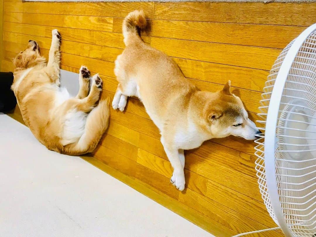 篠原信一のインスタグラム