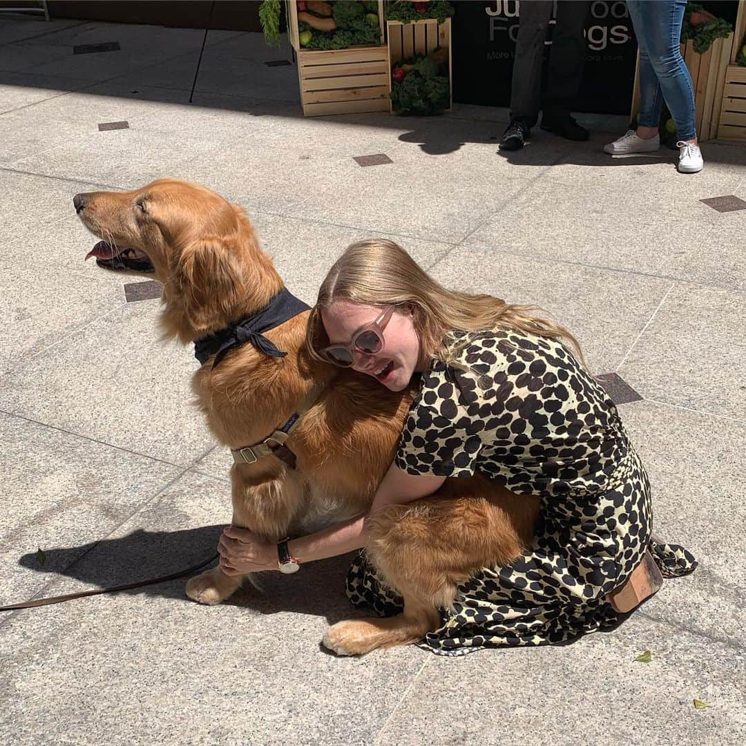 アマンダ・サイフリッドさんのインスタグラム写真 - (アマンダ・サイフリッドInstagram)「I’M HAVING THE BEST TIME!! @bestfriendsanimalsociety @justfoodfordogs @artofracingmovie」8月2日 4時12分 - mingey