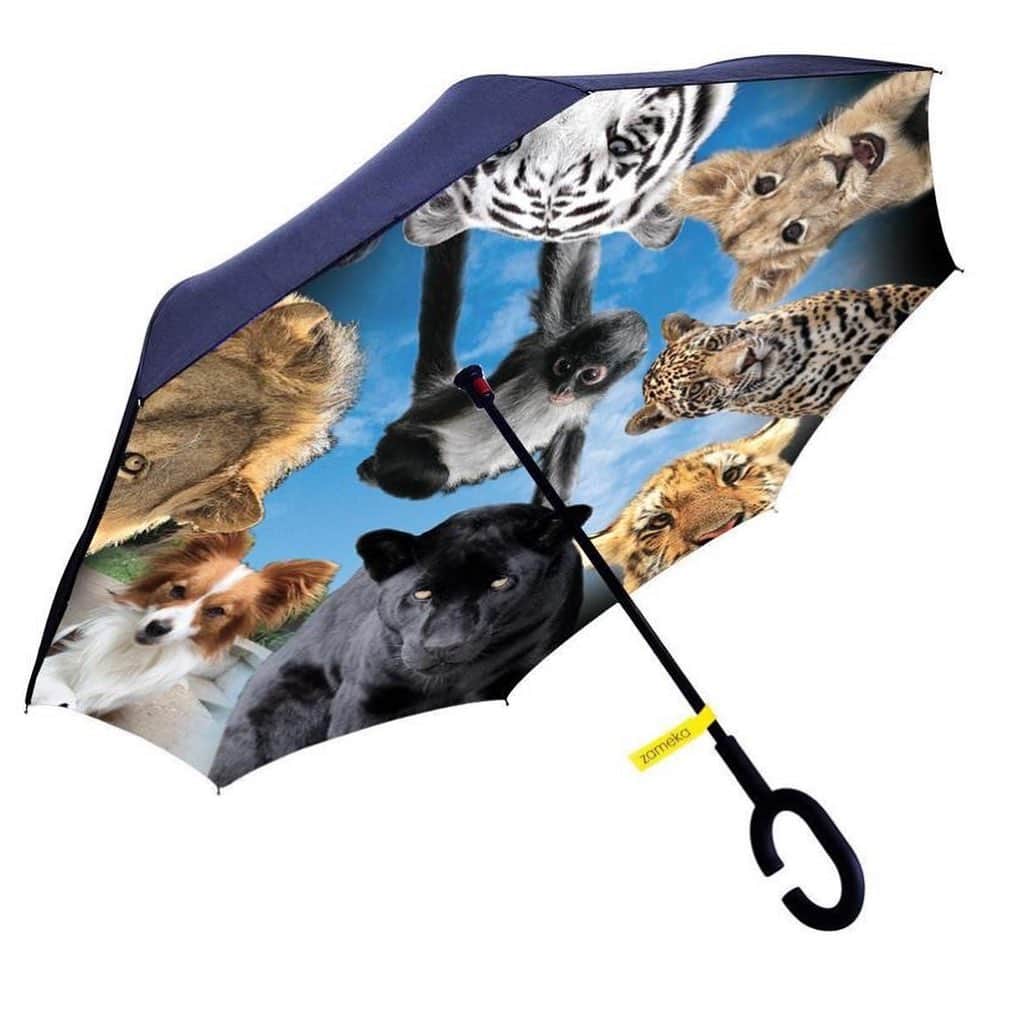 Black Jaguar-White Tiger さんのインスタグラム写真 - (Black Jaguar-White Tiger Instagram)「A HUGEEE 42 inch super high quality Windproof Double Layer Folding Inverted Umbrella, Self Stand Upside-Down Rain Protection Car Reverse Umbrellas with UV protection with Cielo, The Mighty Chiquitin, Lovey, Enzo, Lewis, Zelika, Lola, Changui and Penelope as companions.  It's a beautiful design by Jamie, the same one as my welcome home blanket :) Active link on our bio or at BJWTshop.com」8月2日 4時45分 - blackjaguarwhitetiger