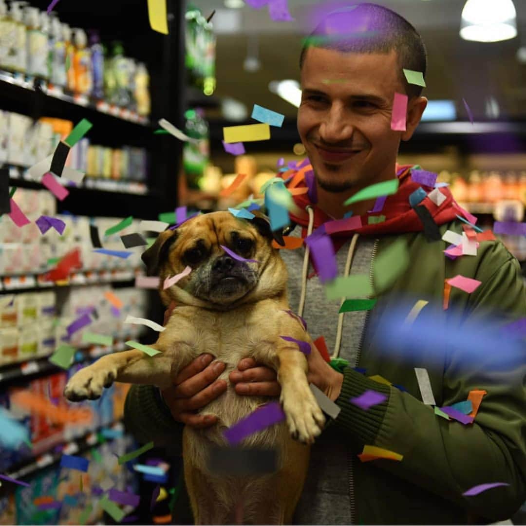 DogsOf Instagramのインスタグラム：「Who recognizes this pair!? Big CONGRATS to @itsbrunoshow for their Emmy nomination!! Our paws are crossed for a season 2 on @netflix!!!」