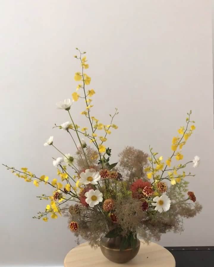 Nora O´Neilのインスタグラム：「Smoke bush season oOoo ✨」