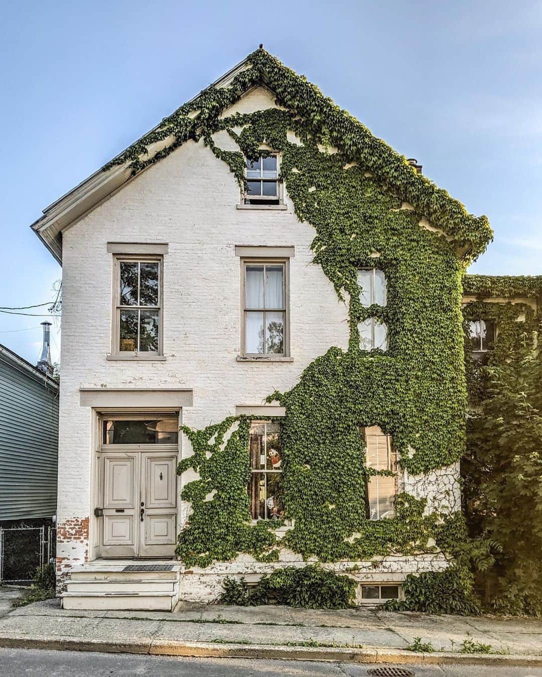 MT DOMAINEさんのインスタグラム写真 - (MT DOMAINEInstagram)「Always here for a classic ivy moment 🌿photo: @ThisOldHudson via @zioandsons」8月2日 6時50分 - mydomaine