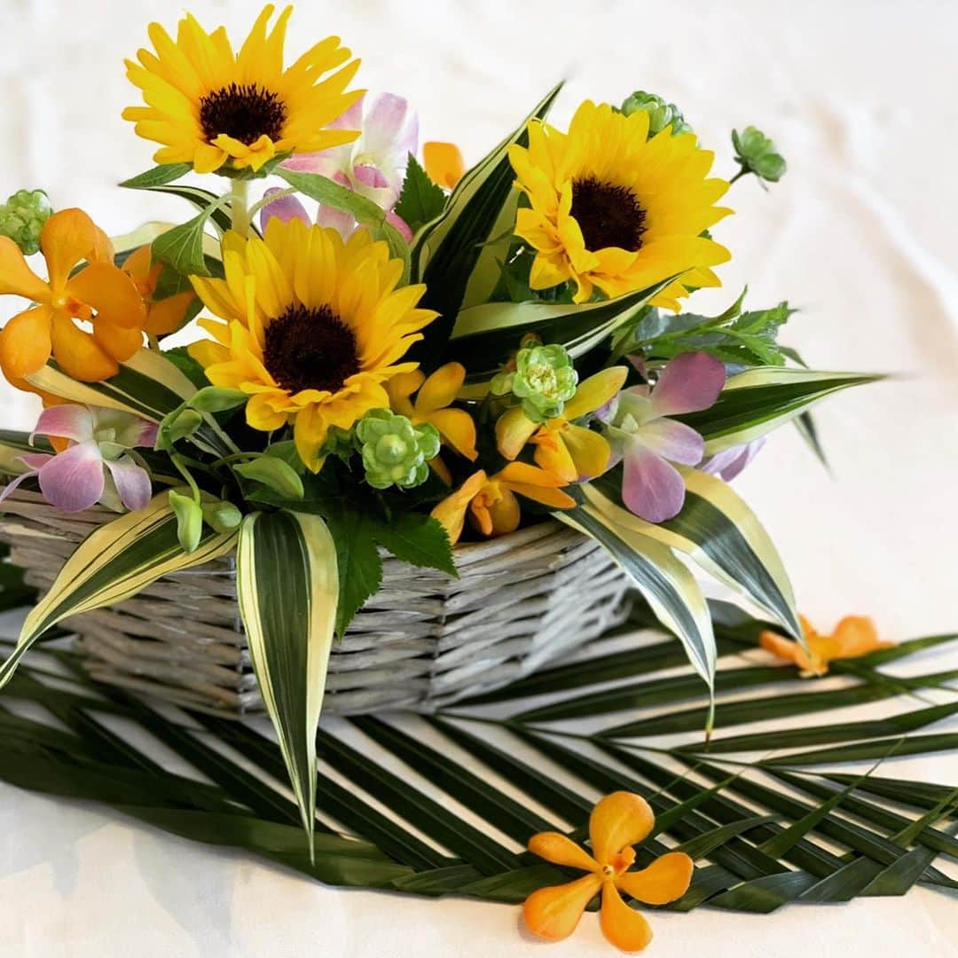 リストランテAO[公式]?イタリアン(青山店/逗子店)のグルメインスタ