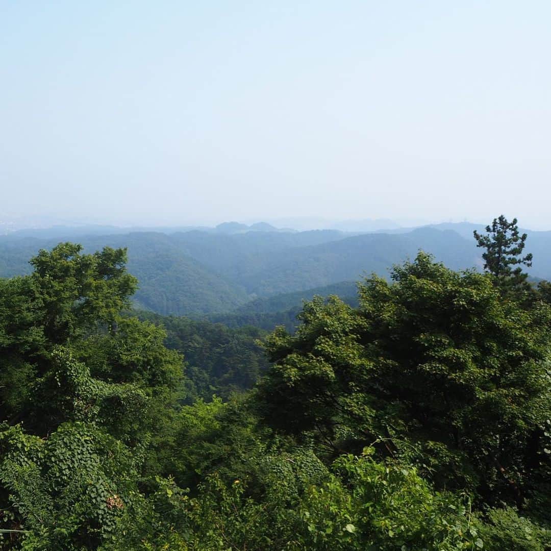 角田聖奈さんのインスタグラム写真 - (角田聖奈Instagram)「高尾山食べ歩き😋🍡🍡 登る前におだんご🍡途中でもおだんご🍡降りてからお蕎麦🍜と甘酒🍶 途中に美味しいおだんごが設置されてる山登りなら有酸素運動嫌いな私でも登れる💕 暑かったからお水たくさん飲んで汗かいて、最後は温泉で癒された🧖‍♀️♨️ 楽しかったからまたいこう🤙 #高尾山 #高尾山薬王院 #高尾山山頂 #高尾山温泉 #山登り #ハイキング #有酸素運動 #自然 #緑 #山 #おだんご #蕎麦 #グルメ #温泉 #フィットネス #ボディメイク #健康美 #ヘルシー #夏 #アクティブ女子 #食べて痩せる #パーソナルトレーナー #フィットネスモデル」8月2日 18時07分 - seina1105