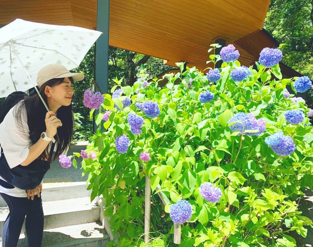 服部ひで子のインスタグラム：「つい最近まで紫陽花が咲いていたかと思えば、気がついたら８月‼️夏 真っ盛りですね～🌴🌞！ 今週、 8/3(土)4(日)は、 👑吉本新喜劇ワールドツアー👑 すっちー&酒井座長班。 【北海道】札幌コンベンションセンター 大ホール  に行かせていただきます～！！！ 当日券も販売します。 ●8月3日(土) 14:30／18:00公演 販売開始12:00～ ●8月4日(日) 13:30／17:00公演 販売開始10:00～  是非是非、お越しくださいませ(*^^*)⭐ 北海道、 少しは涼しいかしら🐮🌱🥛」