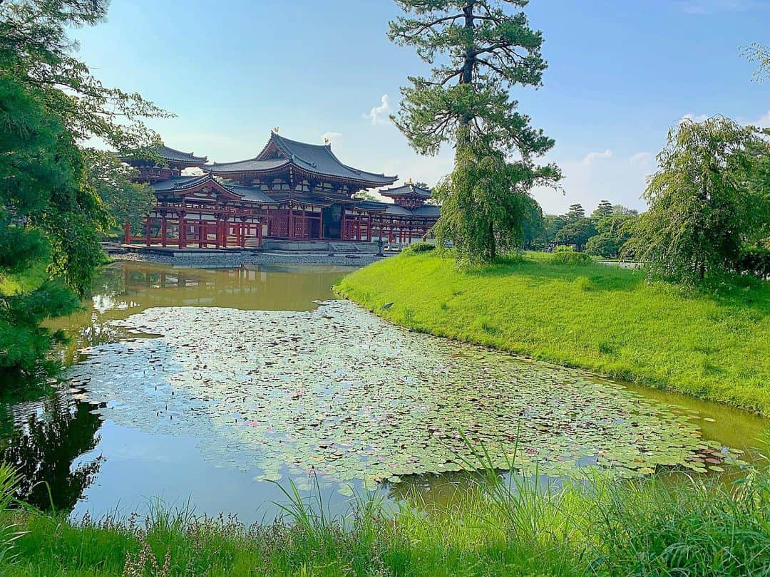 北村彩乃のインスタグラム：「Took them to see the Byodoin temple (10yen coin temple)🎌 . Finally got to show my hometown to Tosha and Mariko ☺️💖 . アメリカンの2人に私の地元を案内したよ〜✌️ やっぱり京都って素敵✨ . #kyoto #kyototrip #byodointemple #10yencoin #instatravel #instatravelgram #travelgram #japan #japantrip #beautifulworld #worldheritage #japan_vacations #worldtour #タビジョ #平等院鳳凰堂 #宇治 #旅行好きな人と繋がりたい #お寺巡り」