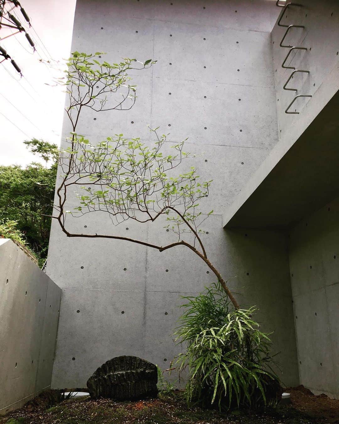 クリスチャンポーさんのインスタグラム写真 - (クリスチャンポーInstagram)「#architecture #concrete #christianpeau #house @jutok  Christian Peau house in Japan」8月2日 17時24分 - christian_peau