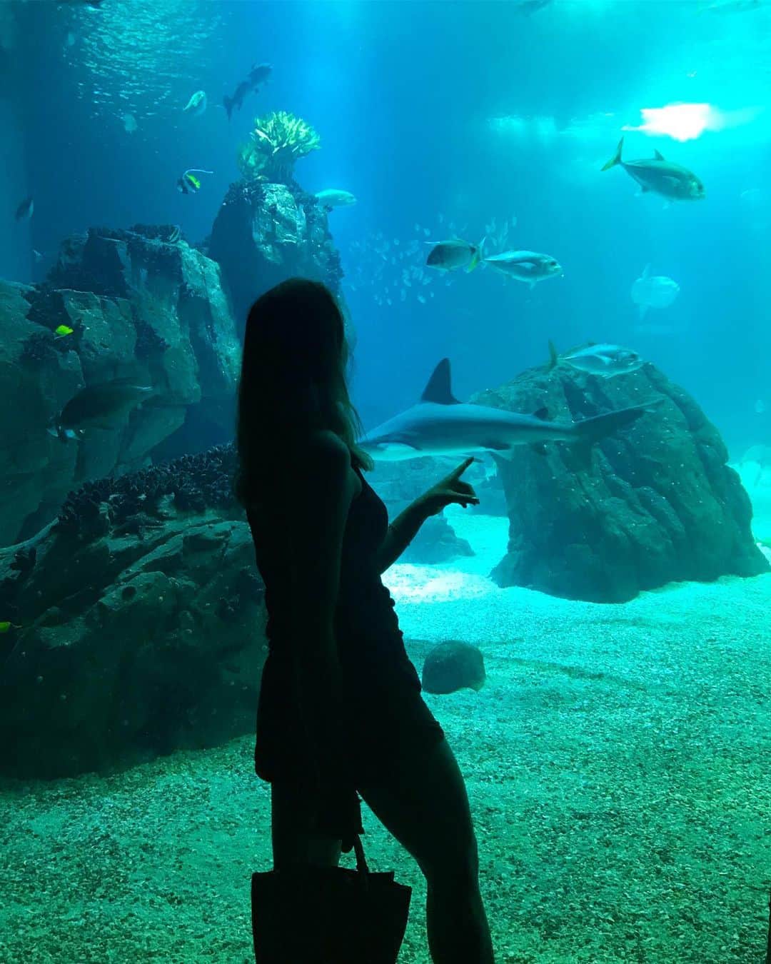 マリナ・デュランダさんのインスタグラム写真 - (マリナ・デュランダInstagram)「The Lisbon Oceanarium is the largest indoor aquarium in Europe 🌊 🦈」8月2日 17時42分 - dmarishka