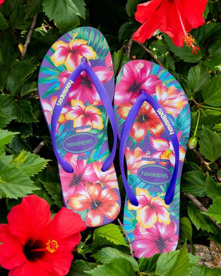Havaianas Europeさんのインスタグラム写真 - (Havaianas EuropeInstagram)「Bursting with colour, these are bound to brighten any summer outfit. 🌸🌺 How will you wear yours?#letssummer #flower #flowerpower」8月2日 17時45分 - havaianaseurope