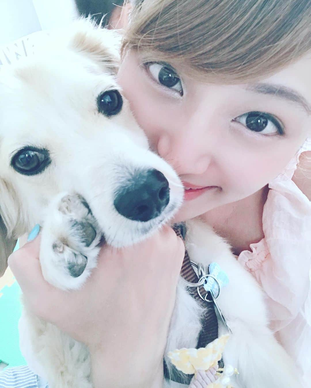 葵ゆりかさんのインスタグラム写真 - (葵ゆりかInstagram)「にょろ、おかえりーーー❤️ 帰ってきました🐶🏠 しびれる請求書と共に。笑  はじめての入院、一週間もよくがんばりました。 元気になって本当に良かった😭 これからはもっとちゃんと守れるように、もっと気をつけるね😢 ずっと元気でいてね。大好きだよ。  #愛犬 #にょろ #ミックス犬 #ミニチュアダックス #パピヨン #マルチーズ #4歳 #男の子 #オス #♂#退院 #おかえり #会いたかった #大好き #息子 #inustagram #instadog #dogstagram #dog #犬 #わんこ #犬バカ部 #family #家族」8月2日 9時12分 - yuriyuricchi