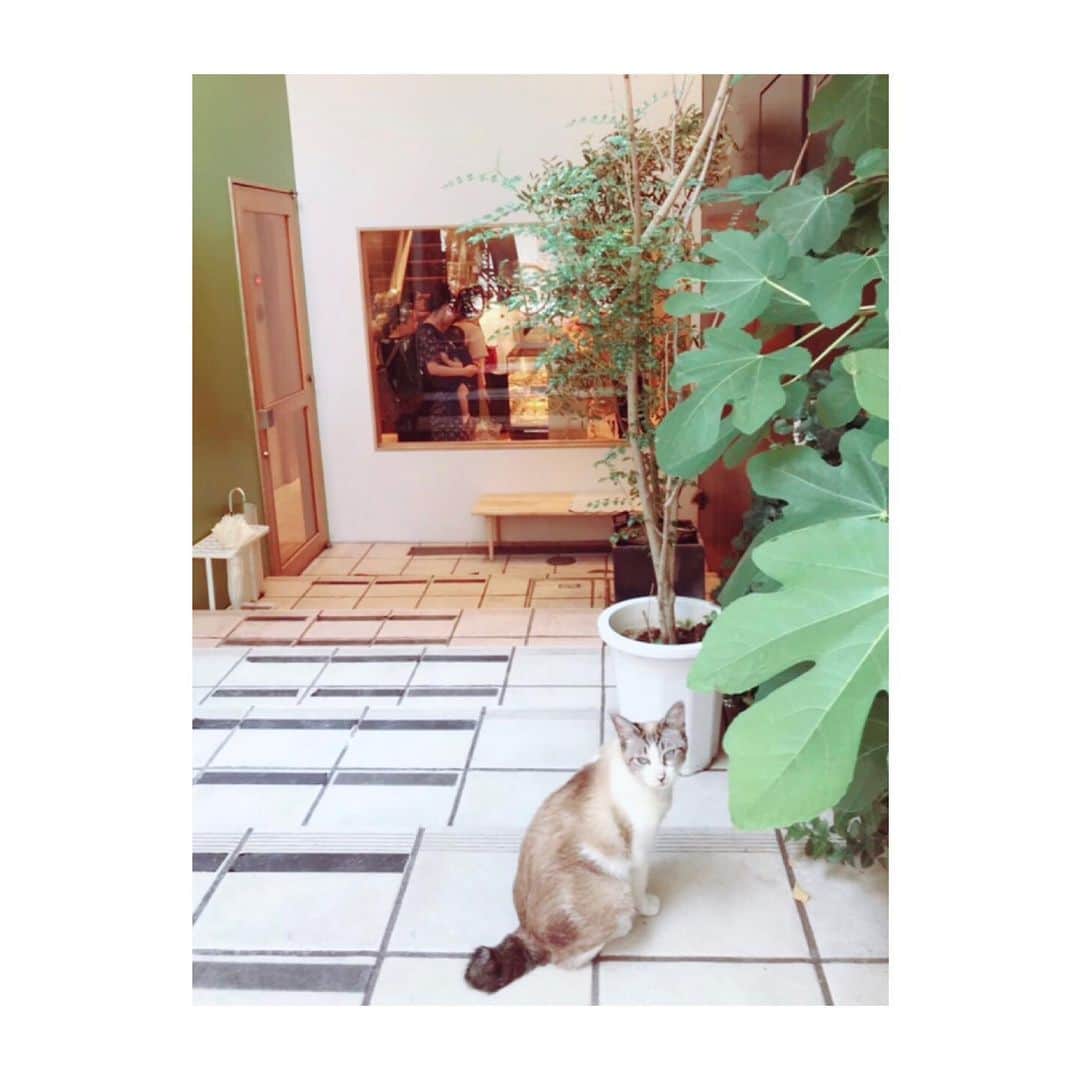 小河結香のグルメインスタ