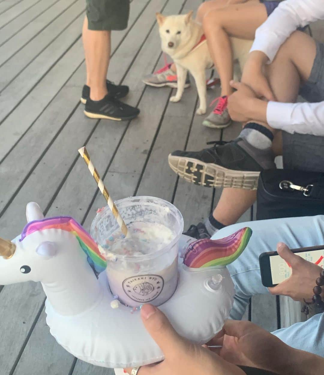 Mappyさんのインスタグラム写真 - (MappyInstagram)「🦄🦄🦄🦄🦄🦄🦄🦄❤️❤️❤️❤️❤️❤️❤️❤️❤️❤️❤️💋💋💋#unicorn #boston」8月2日 10時06分 - mahirucoda