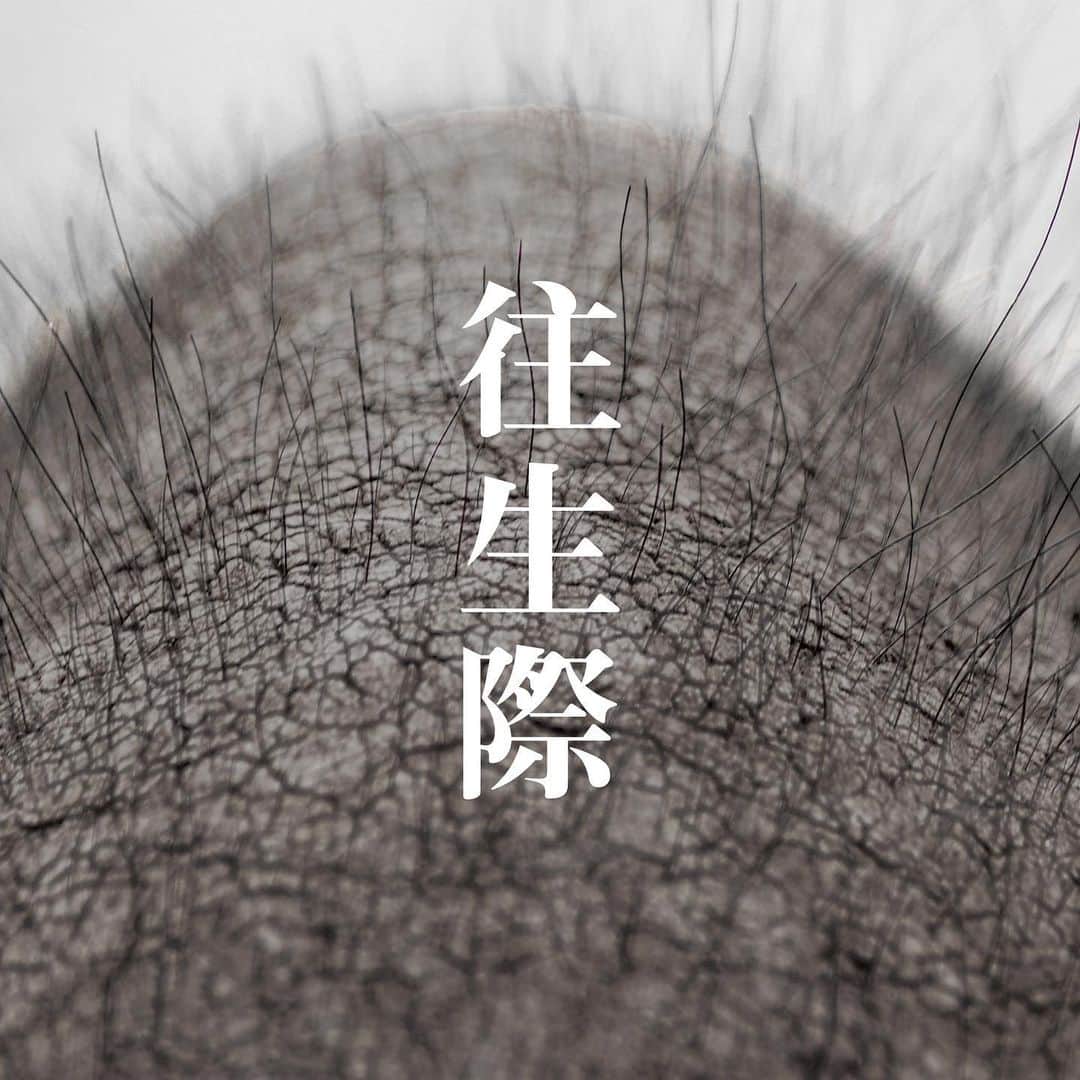 yonigeのインスタグラム：「yonigeの新曲「往生際」「みたいなこと」が配信限定でリリース決定しました。 8/7(水)配信限定リリース「往生際」 9/13(金)配信限定リリース「みたいなこと」 早く聞いてもらいたいです。楽しみにしててください！(牛)」