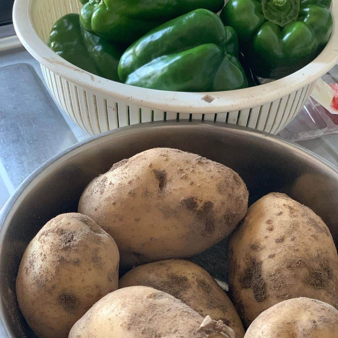 田中幸さんのインスタグラム写真 - (田中幸Instagram)「【幸農業日誌👩‍🌾】 夏野菜ゴロゴロ育ってます🥔 私の料理のレパートリーが 追いつかない🏃‍♀️ まんまる人参🥕 いつ収穫できるかな？  黄色パプリカも赤色パプリカも パプリカの味した緑ピーマンに なりました😂  トマト🍅がちょこちょこ 採れるようになりました♫ #自給自足農家 #農業女子👩‍🌾 #見習い中 #毎日収穫 #有機野菜 #浅間山と八ヶ岳に囲まれて育つ野菜」8月2日 10時54分 - sachitanaka