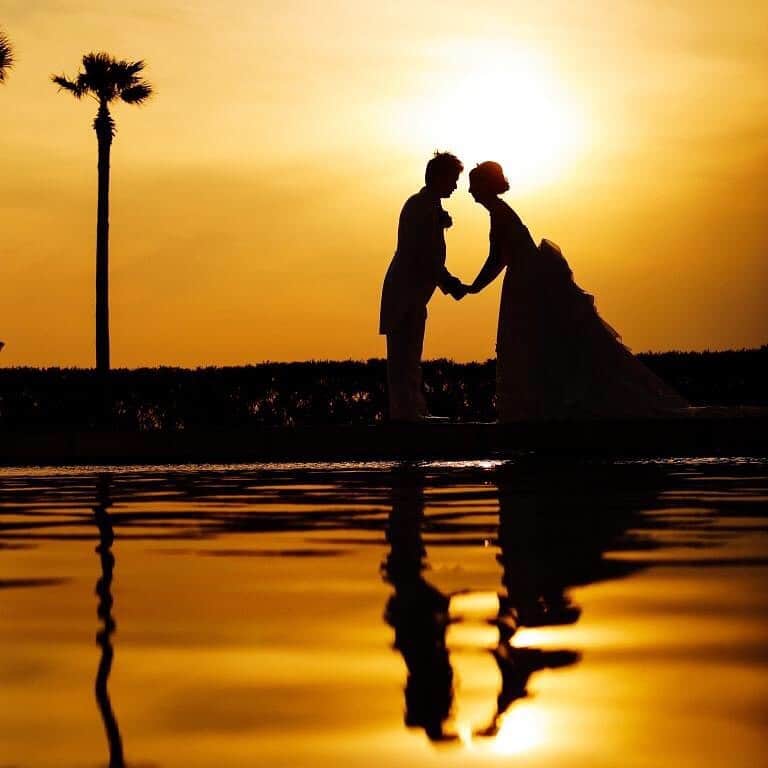 17人をフォロー中 【結婚式場】ラヴィマーナ神戸ウエディングのグルメインスタ