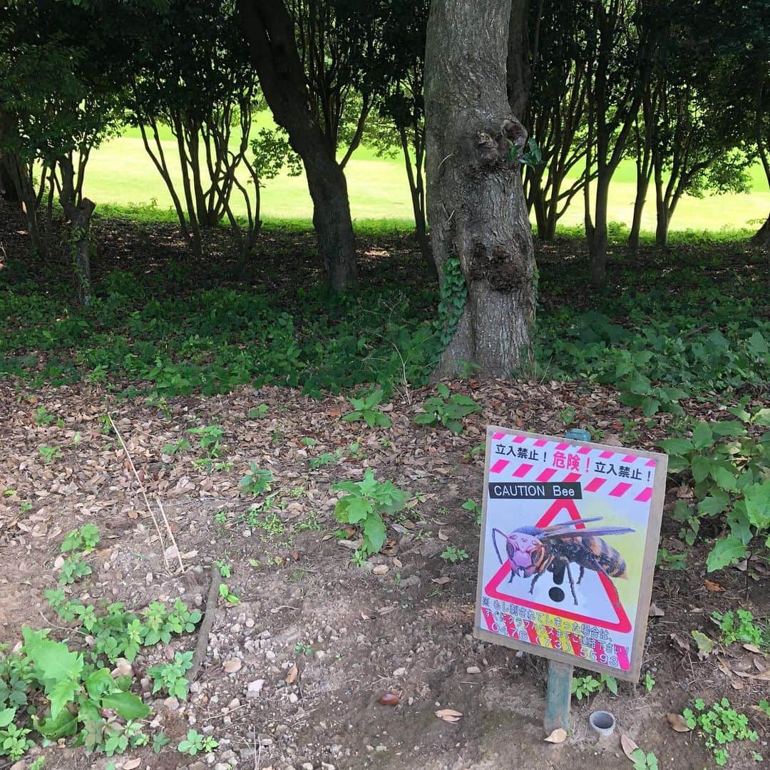 味岡ちえりのグルメインスタ