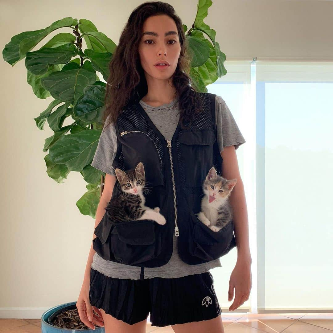 エイドリアン・ホーさんのインスタグラム写真 - (エイドリアン・ホーInstagram)「🐱😍🐱 Foster Season! 😈🤘👅 @luxepaws」8月2日 11時30分 - adrianneho