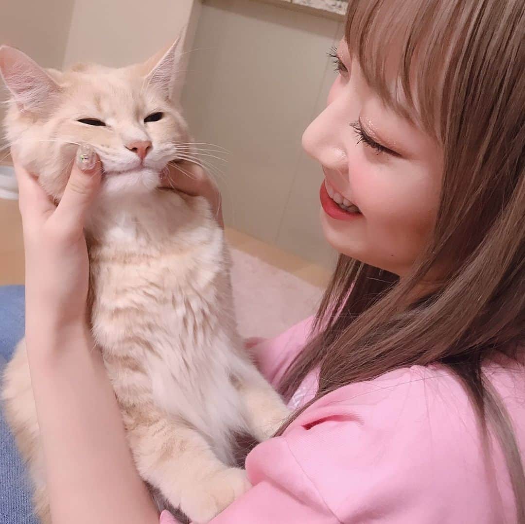 河西美希さんのインスタグラム写真 - (河西美希Instagram)「鬼可愛いアルルイさぁや🥳  アルルイちゃんの話したくさん 聞いたんだけど、猫ちゃんによって こんなに性格が違うなんて本当に 面白いし、可愛い(´；ω；｀💕 癒されたーー☺️♡ さぁやありがとうねー🥺✨」8月2日 11時37分 - mikipon1111