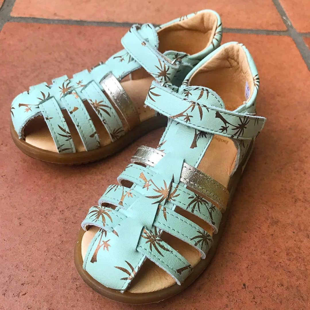 関根麻里さんのインスタグラム写真 - (関根麻里Instagram)「最近、娘はたくさん走るようになり、土踏まずがしっかりできていました！👣 この夏は、アルカさんのサンダルが大活躍です！😄 いつもお世話になっています！✨ #アルカ #靴 #サンダル @enfant_d_alka」8月2日 18時13分 - marisekine