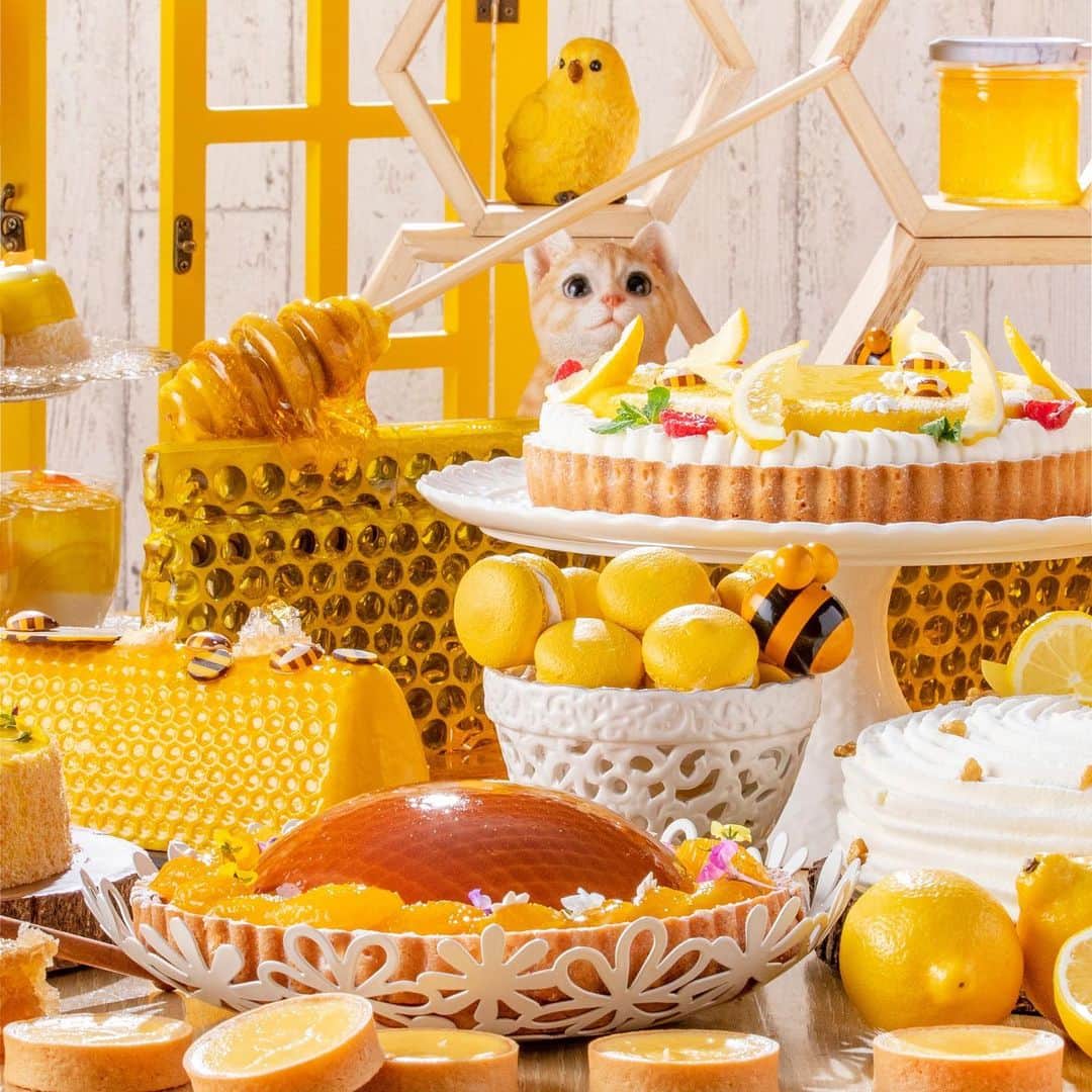 ヒルトン東京さんのインスタグラム写真 - (ヒルトン東京Instagram)「🍯Sweet Summer Sale!  Enjoy Hilton Tokyo’s latest dessert buffet “Happy Honey-holic” at a 🍯sweet deal of 40% off weekday plans with champagne cocktail. 🍋Weekend plans are available at 20% off!  Make your reservations via the link in profile🌻  #ヒルトン東京 #マーブルラウンジ #お得情報 #サマーセール #夏の思い出 #デザートビュッフェ #スイーツ好き #はちみつ #ハニーの日  #hiltontokyo #marblelounge #honey #yellow #summersale #sale #yellow」8月2日 15時00分 - hiltontokyo