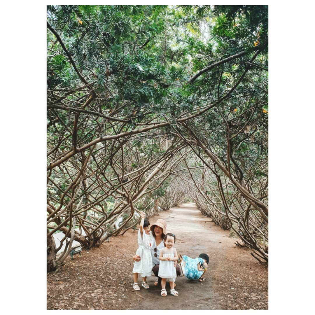 ソ・ユジンさんのインスタグラム写真 - (ソ・ユジンInstagram)「여기 너무 좋다 ~~🌿🌿🌿 #벽초지수목원」8月2日 15時18分 - yujin_so