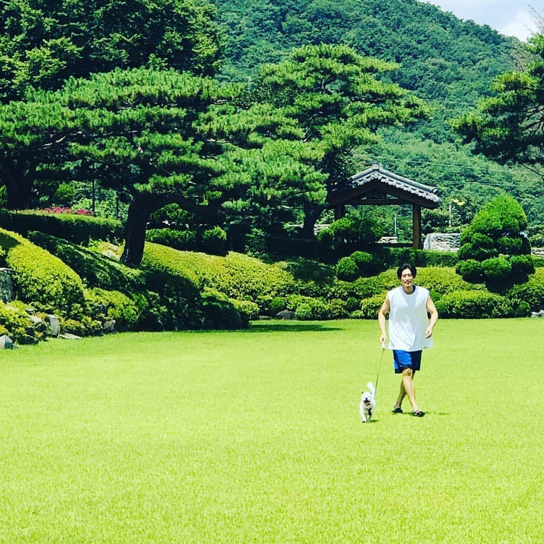 ミン・ジヌンさんのインスタグラム写真 - (ミン・ジヌンInstagram)「세잎클로버 콤마, 🐶🐾☘🌳🌲」8月2日 15時37分 - menexinohs