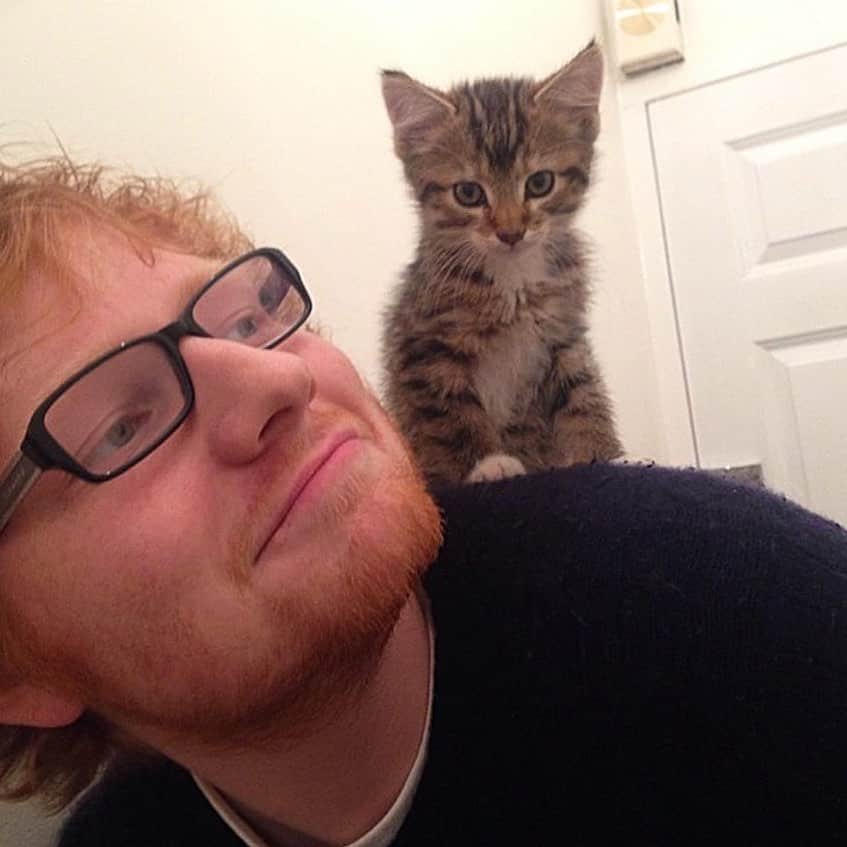 E! Onlineさんのインスタグラム写真 - (E! OnlineInstagram)「We keep this love in this photograph of Ed Sheeran and his cat Graham, who died after being hit by a car. 😔 (📷: Instagram)」8月3日 2時15分 - enews