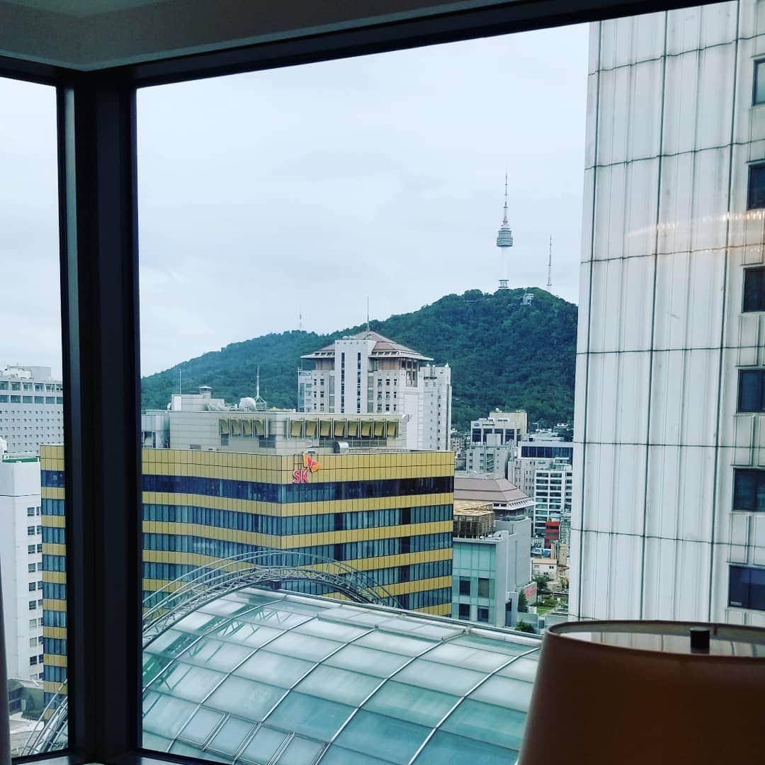 慶元まさ美さんのインスタグラム写真 - (慶元まさ美Instagram)「Trip Korea in July🎵  7月はちょっぴり大人な旅 『ホテル編』  明洞の #老舗ホテル  #ロッテホテル  昨年秋に #リニューアル した #エグゼクティブタワー に 泊まってきました。  チェックインの レセプションデスクは15階😊 お茶を飲みなからゆったりと。  お部屋からは南山タワーが見えました  #ラウンジ は時間帯で趣も変わって 広々としていて、テーブル間が 広いので #おひとりさま でも 心地よく過ごせました✨  お出掛け前にお茶したり 朝ごはんも充実でした🎵  ベッドがホントに気持ちよくって ぐっすり眠れました。 ショートスリーパーの私なのに😊  もちろん、ジムやスパもあるので お出掛けせずに、ずっとホテルで 過ごしたくなります(笑)  改めて立地の良さや ホスピタリティーを感じて 旅がとっても心地よかったぁ～  ロッテホテルはいろんな選択が できるホテルなので、その時の 気分や目的で選んでみてください✨  #韓国旅行 #韓国 #大人女子旅 #暮らすように旅する #おひとりさま #hotel #korea  #trip #ラグジュアリー #おもてなし」8月2日 18時46分 - preciousmomentk