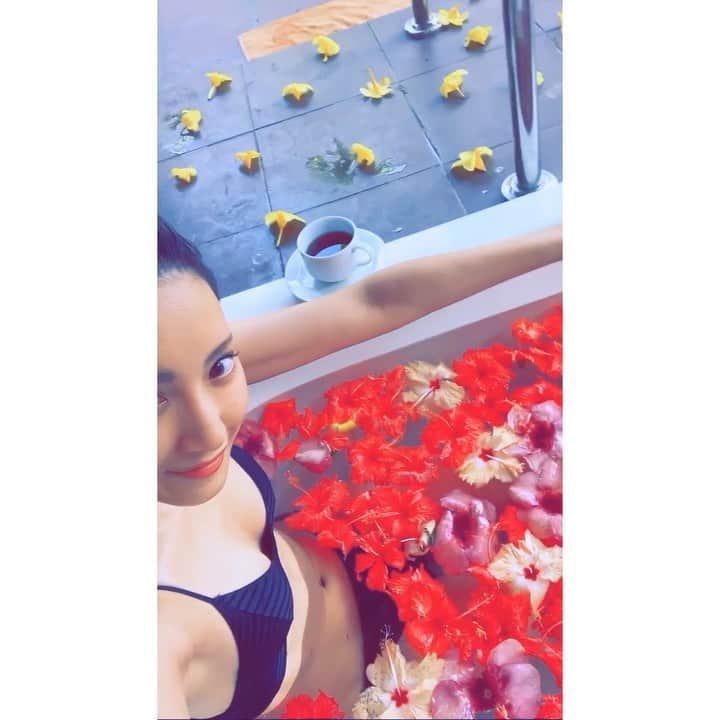 菜々緒のインスタグラム