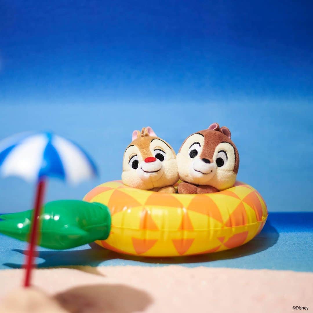 ちょっこりさん【公式】のインスタグラム：「#20190802 * チップとデールがなかよく ぷかぷか・・ いっしょにまざて～！ * #ちょっこりさん #ディズニー#ディズニーグッズ #ぬい撮り#ぬいぐるみ #chokkorisan#disney #takaratomyarts #ぬいぐるみと撮り隊 #disney写真部 #ディズニーグッズ #ちょっこりさん好きな人とつながりたい」