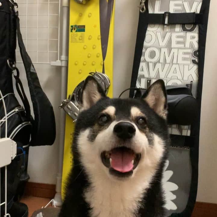 くろのインスタグラム