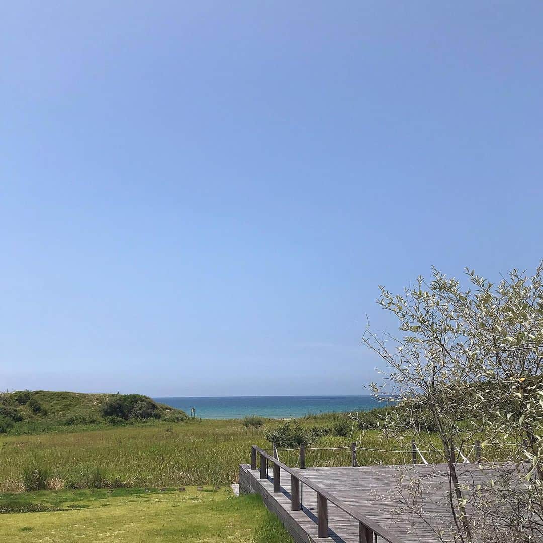 mayuのグルメインスタ