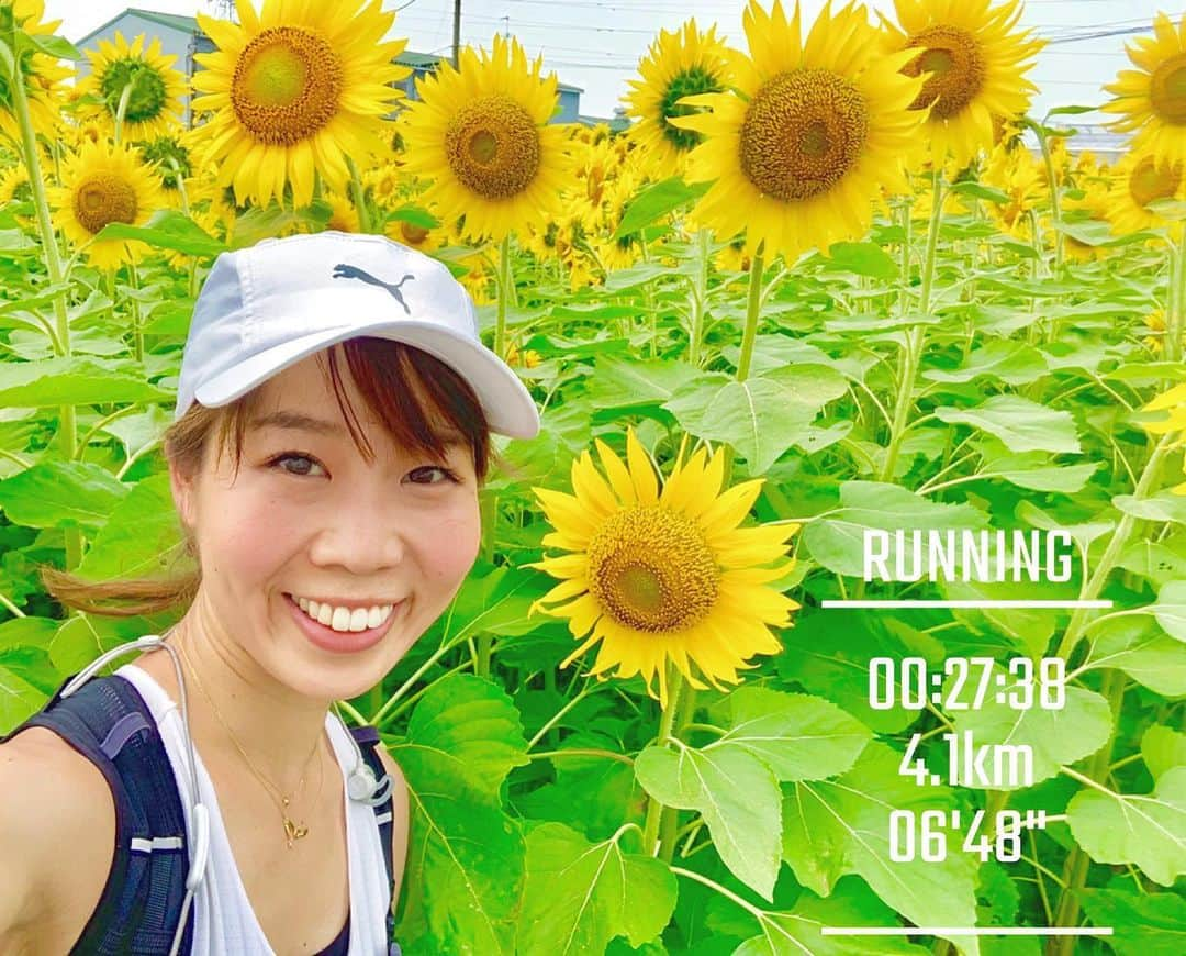 中橋舞さんのインスタグラム写真 - (中橋舞Instagram)「. #疲労抜きjog 🏃‍♀️ 4km . . 昨日は電車や車では見つけられないところにひまわり畑🌻 こんな発見も走ってなかったらなくって、 走ってて良かったって思ったよ❤️ . . #まいrun  #runstagram #ランスタグラム #ランニング #ランニング女子 #puma #ignitetokyo  #疲労抜きラン #run #running #走るひと #ひまわり #ひまわり畑 #神奈川」8月2日 20時17分 - mai_nakahashi