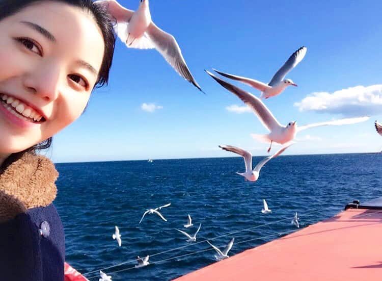 すずきあすかさんのインスタグラム写真 - (すずきあすかInstagram)「熱海の海🏖 強風にあおられながら、カモメにめっちゃ群がられる遊覧船サンレモ🛥 寒い時にしか行った事ないけど、今の時期も楽しそうだなぁ✨ . #熱海 #熱海旅行 #atami #静岡 #shizuoka #japan #japanesegirl #girl #女子旅 #love #travel #trip #海 #sea #ocean #熱海サンビーチ #遊覧船 #サンレモ #カモメ #鳥 #大群 #birds #seagull #pleasureboat #boat #船 #楽天飛び込みたい海 #タビジョ #海行きたい #あすにゃん旅行」8月2日 20時22分 - suzukiasukadesu