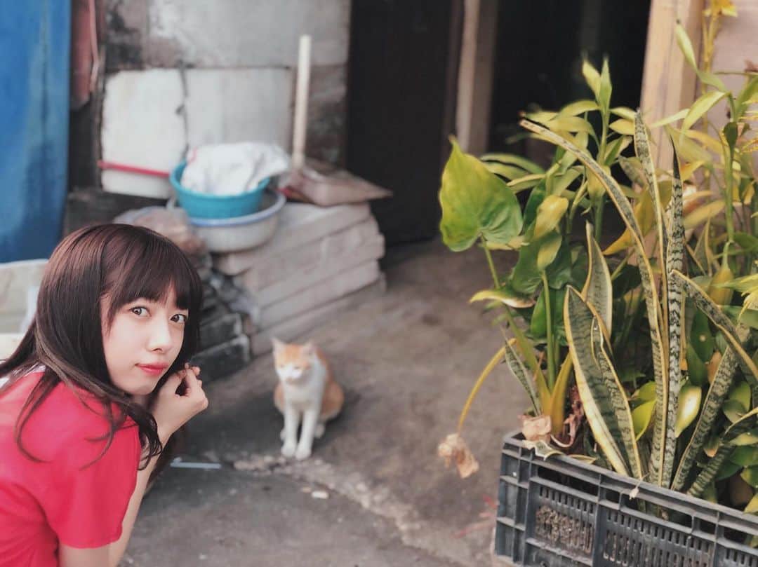 真山りかさんのインスタグラム写真 - (真山りかInstagram)「.﻿ ﻿ 突然タイ投稿に戻ります﻿ ﻿ ﻿ #暑くて思い出した﻿ #エビタイ🦐﻿ ﻿ #もうそろそろ一年前﻿ #ちょっと幼く見える﻿ ﻿ #よくあるアイドルショット﻿ #と﻿ #猫に必死なまやま﻿ ﻿ ﻿ #まやまにあ﻿ ﻿ .﻿ ﻿」8月2日 20時24分 - ma_yama_official