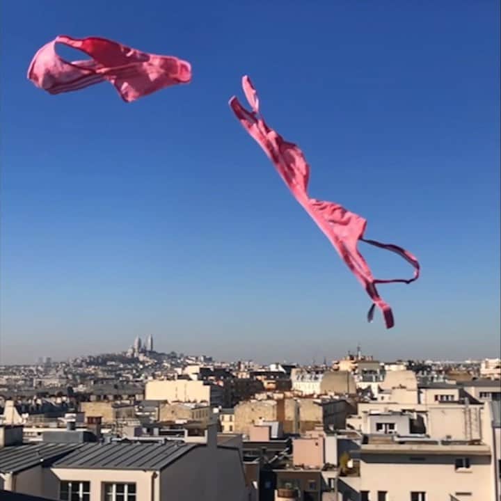 レジャビーのインスタグラム：「The lingerie flies away for our new collection! —— La lingerie s'envole vers notre nouvelle collection ! #maisonlejaby #savoirfaire #savoirfairefrancais #lingerie #lingeriefrançaise #soutiengorges #envole #misslejaby」