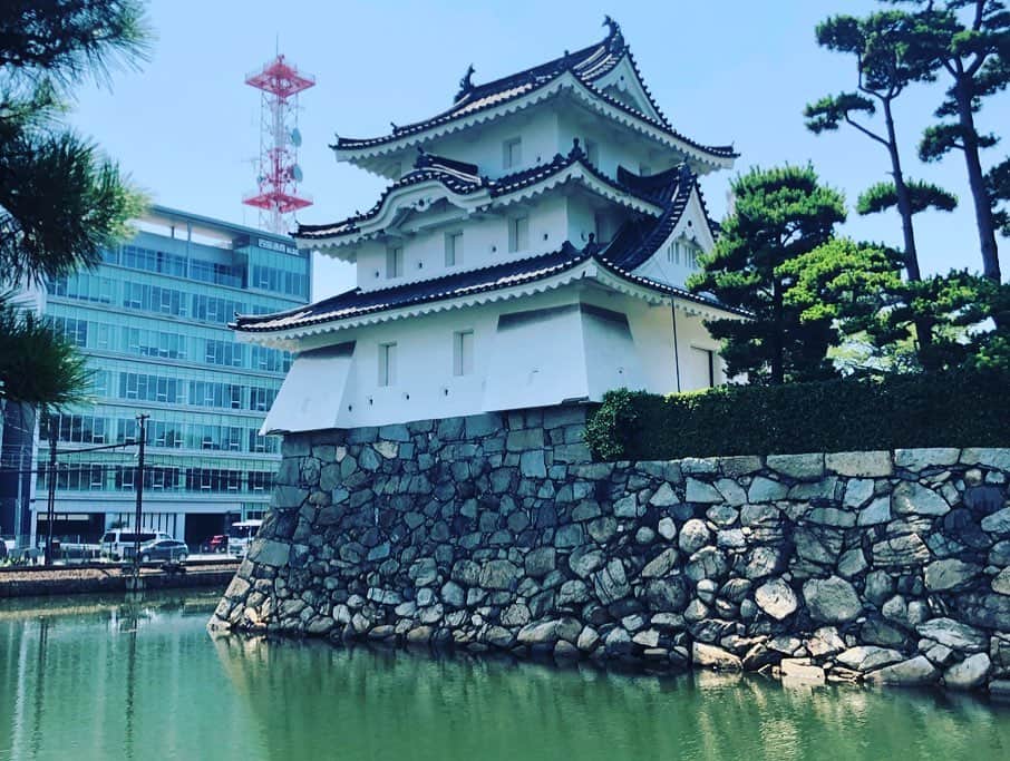 松阪ゆうきさんのインスタグラム写真 - (松阪ゆうきInstagram)「花園直道〜百花繚乱〜 四国二ヶ所公演 無事に終了しました。  直さま始め、響ファミリーの皆様、喜楽座の皆さま、スタッフの皆さま。大変お世話になりました。  また10月から年末にかけて 公演がありますので、 お近くの際は是非 皆さまのお越しをお待ちしております(^^) みかん🍊ジュースに、鯛めしおにぎり、うどん、かつお、伊予牛ww  四国らしい物 沢山食べました（笑） 食べすぎてるから体力が何とかなってますww  明日は、 #名古屋 #大須観音 で #大須夏まつり  #東海ラジオ のイベントに参加致します。  13:15〜より よろしければお越しになってくださいませ。  #松阪ゆうき」8月2日 22時36分 - matsuzaka_yuuki