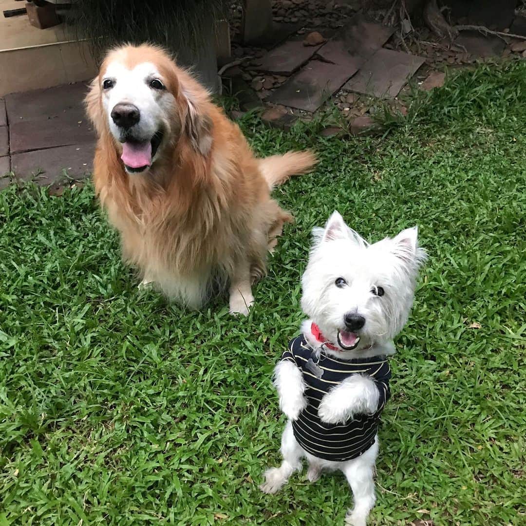 Hoykong&Plamuekのインスタグラム：「Happy Friday everyone ❤️ #hkpm」