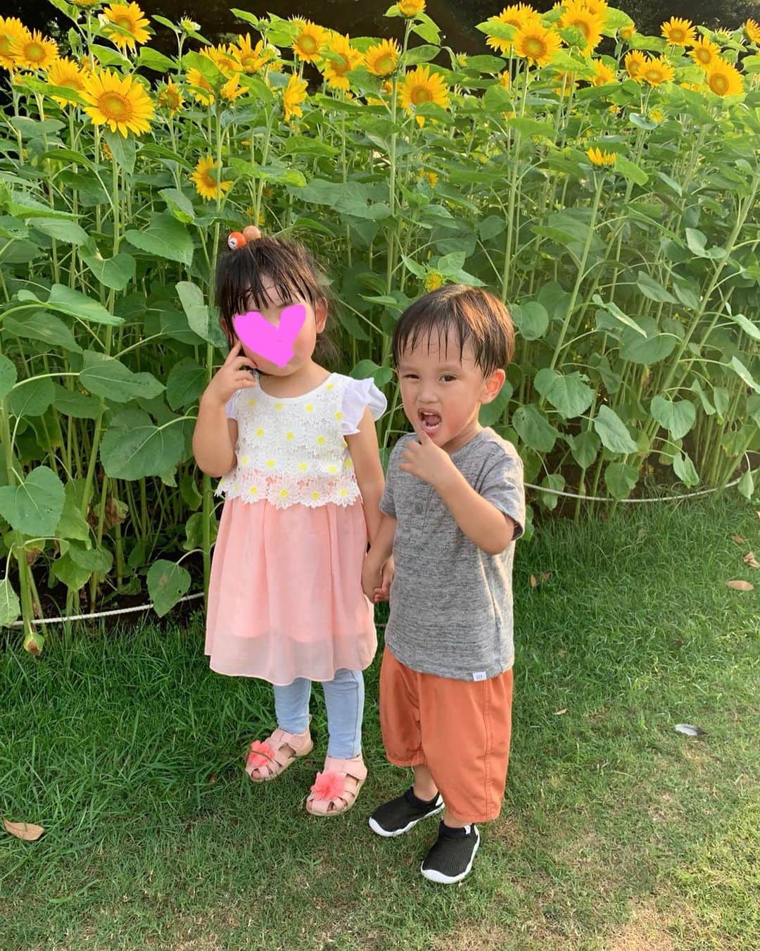 宮崎真梨子さんのインスタグラム写真 - (宮崎真梨子Instagram)「‥ 昨日も今日も暑くてクタクタ。 一昨日は、お友達とランチの予定だったので、こんなコーデにしたけど暑すぎたw旦那さんにも、暑いのになんで⁉︎と突っ込まれたw ∵ ランチのあとに、息子が動き足りなくて山下公園へ♡お友達と手を繋いで歩きたくて仕方なくて、しつこく手をつなごうと言ってましたw最後はかなり強引で笑えたw ∵ お友達の可愛いポーズを真似してるはずが、なんか違うところも笑えるw ∵ ∵ #3歳3ヶ月 #修正2歳11ヶ月 #息子 #超未熟児 #子連れランチ #横浜 #横浜ランチ #元町中華街 #山下公園 #ひまわり #ママコーデ #ママファッション #大人ファッション #30代コーデ #大人可愛い #ミヤマリ #vocest #vocemagazine #美容ブロガー #インフルエンサー #超未熟児ママ #超未ママ #ママ #男の子ママ #mamagirl #ママリ #コドモノ」8月2日 22時44分 - miyamari92